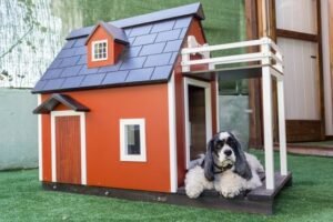 Pet Houses