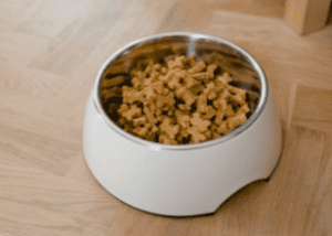 Food Bowls & Feeders