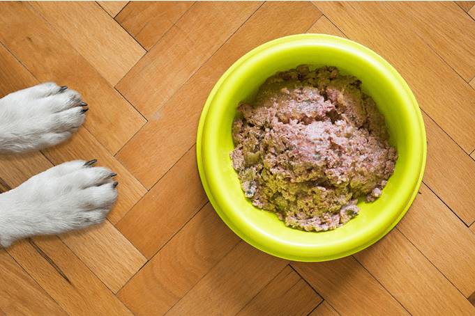 Wet food for dogs