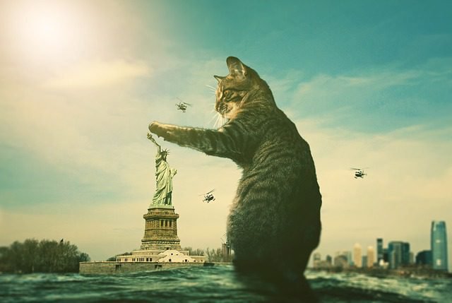 Feline Supreme Ruler