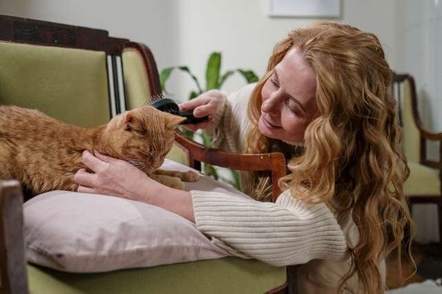 she loves brushing her cat