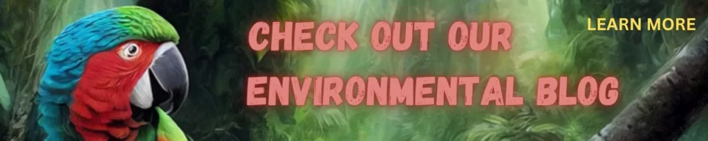 check out our environmental blog