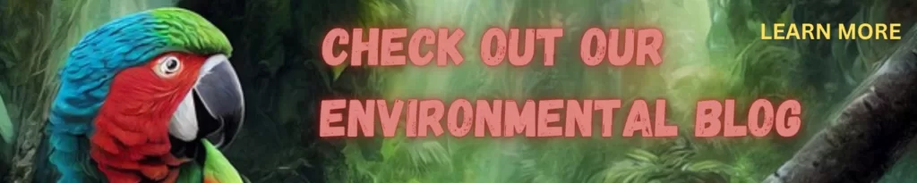 environmental blog for Pet Parents