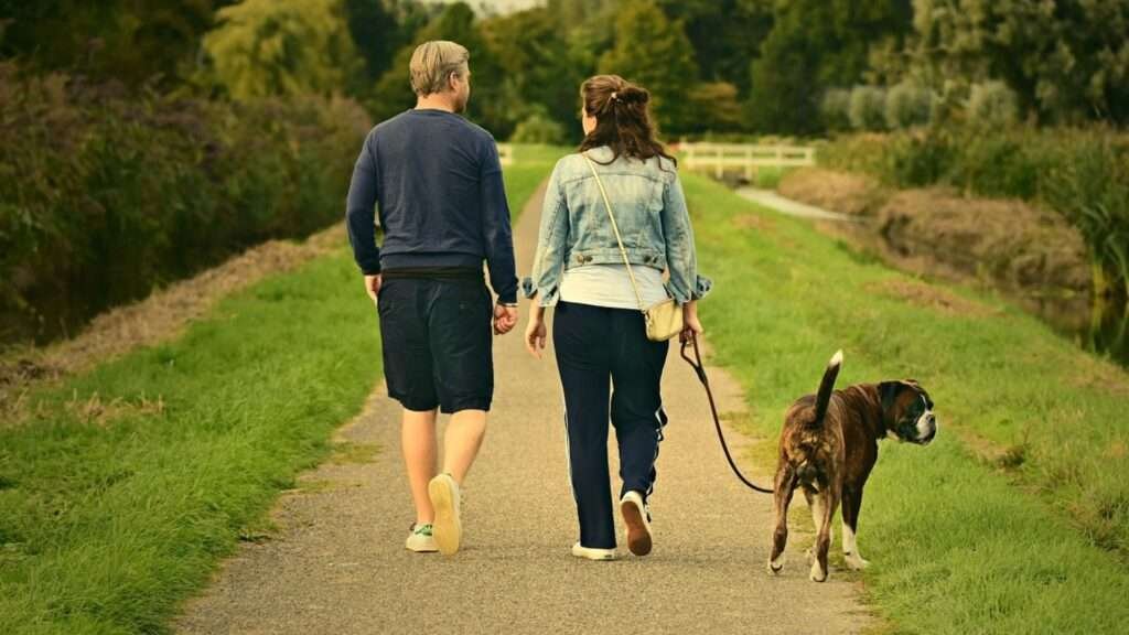 My Pet Support - About Us
